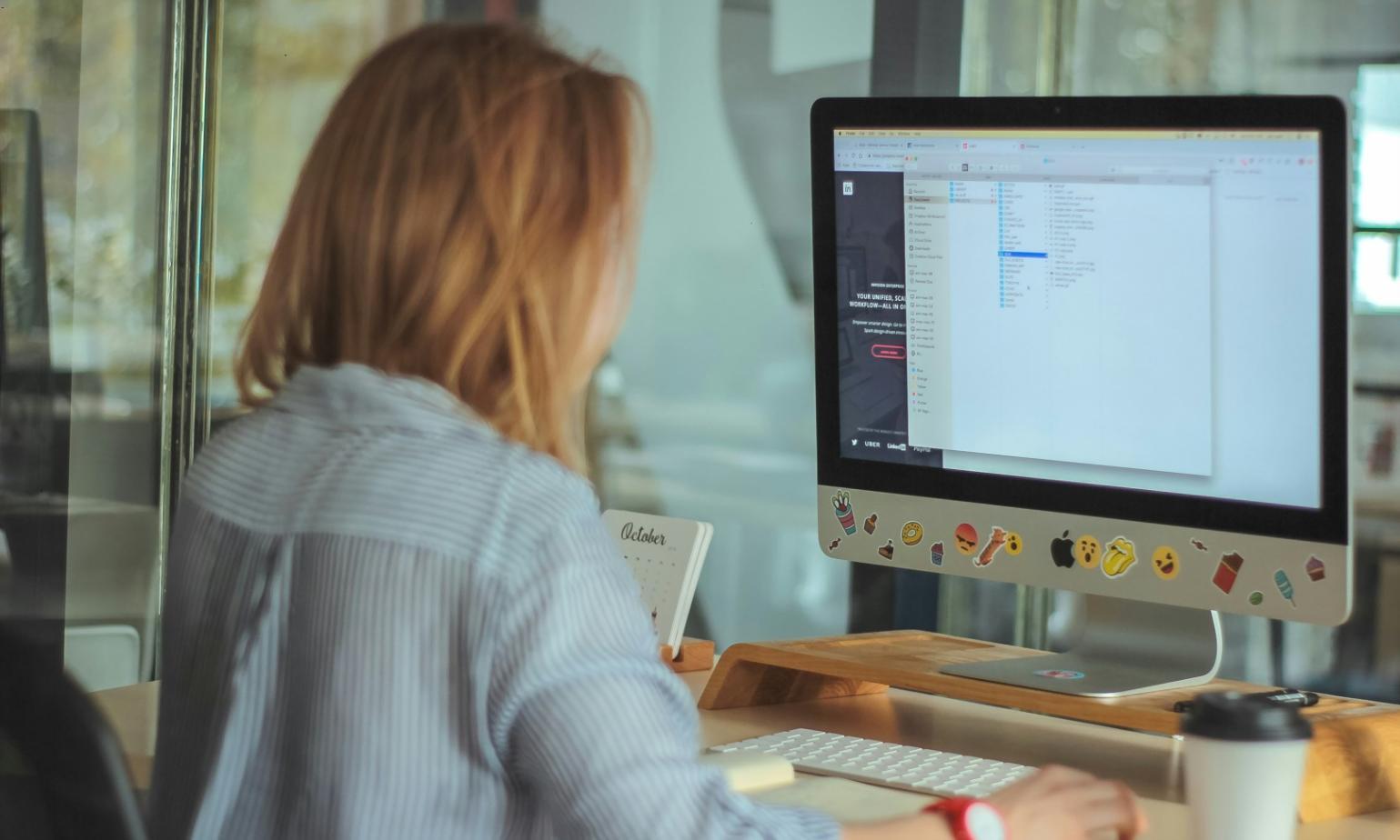 Espacio de trabajo colaborativo del equipo zaranoiqvia